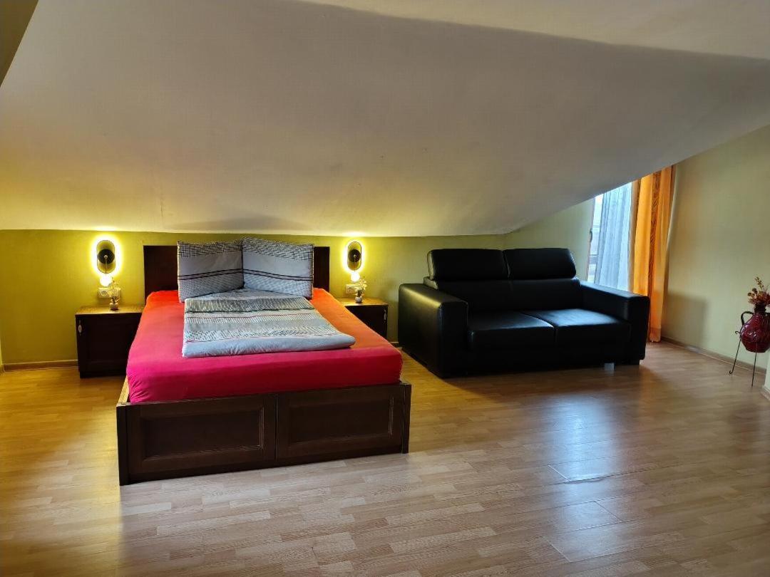 Vis Pension Viile Satu Mare Bagian luar foto