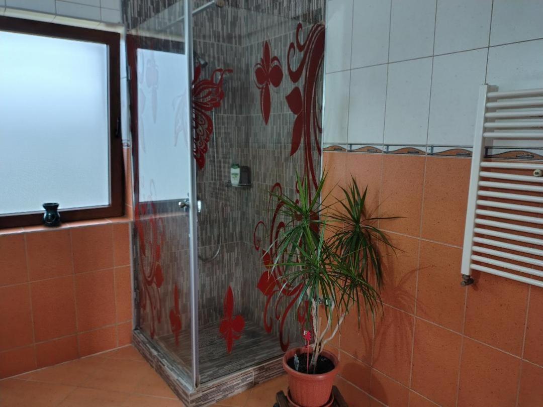 Vis Pension Viile Satu Mare Bagian luar foto