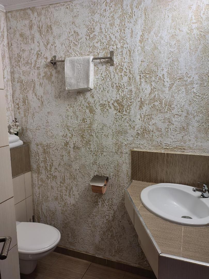 Vis Pension Viile Satu Mare Bagian luar foto