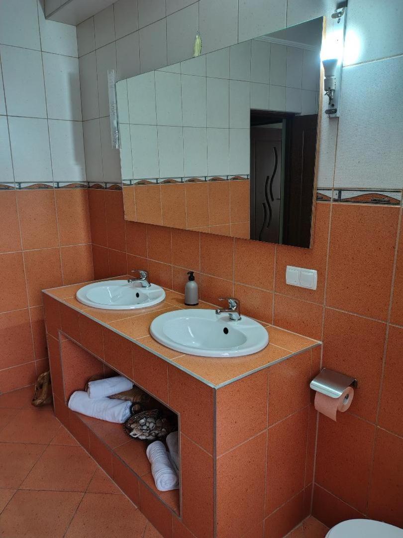 Vis Pension Viile Satu Mare Bagian luar foto