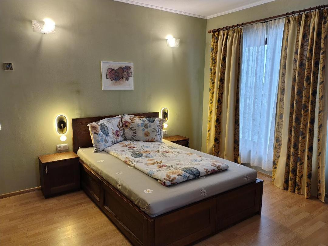 Vis Pension Viile Satu Mare Bagian luar foto