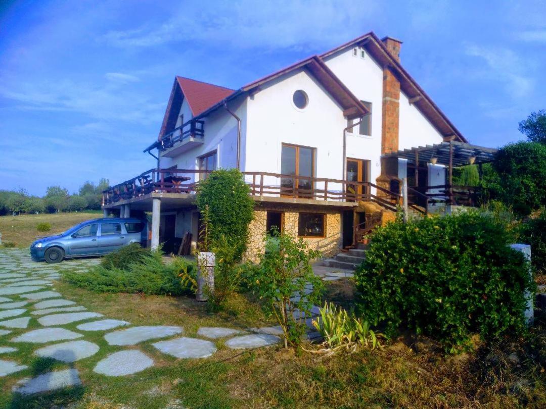 Vis Pension Viile Satu Mare Bagian luar foto