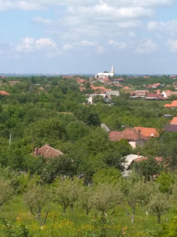 Vis Pension Viile Satu Mare Bagian luar foto