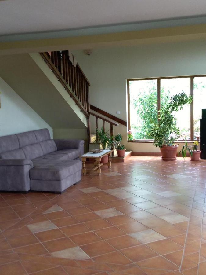 Vis Pension Viile Satu Mare Bagian luar foto