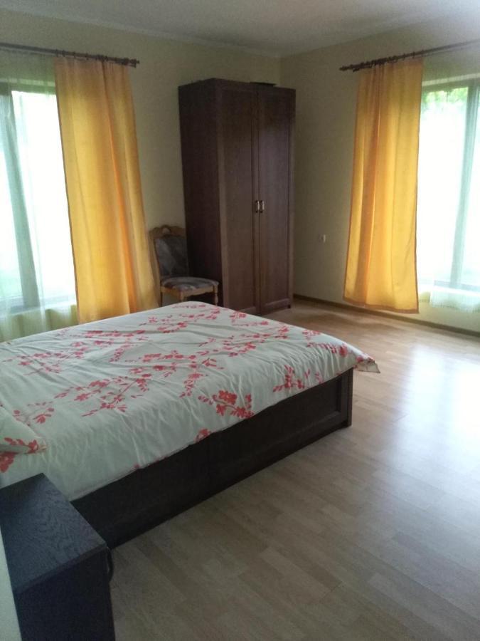 Vis Pension Viile Satu Mare Bagian luar foto