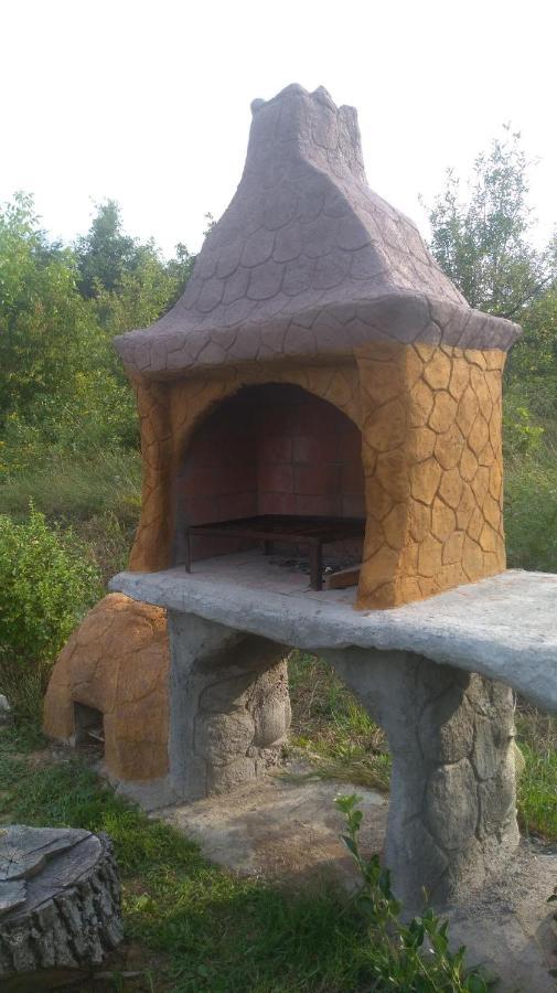 Vis Pension Viile Satu Mare Bagian luar foto