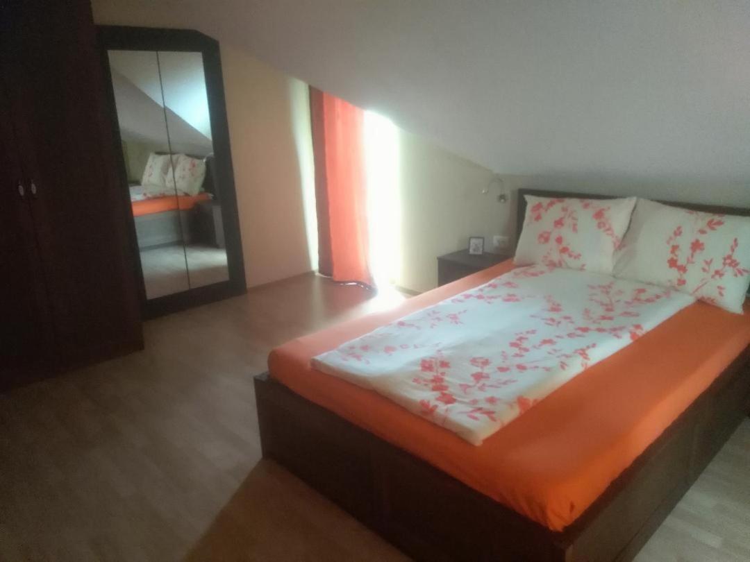 Vis Pension Viile Satu Mare Bagian luar foto