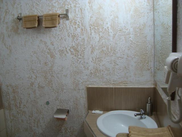 Vis Pension Viile Satu Mare Bagian luar foto