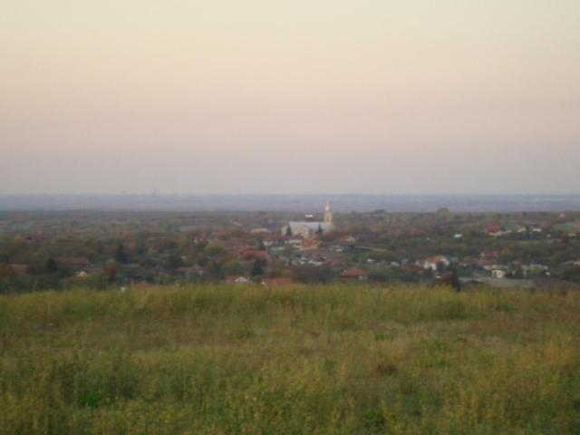 Vis Pension Viile Satu Mare Bagian luar foto